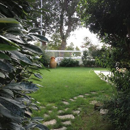 Villa Gioia Rooms Montegranaro Esterno foto