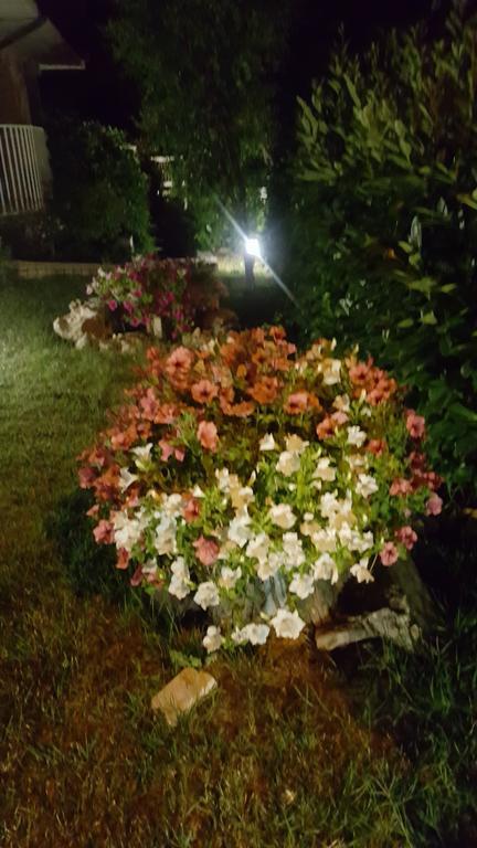 Villa Gioia Rooms Montegranaro Esterno foto