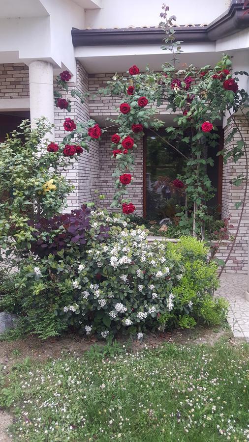 Villa Gioia Rooms Montegranaro Esterno foto